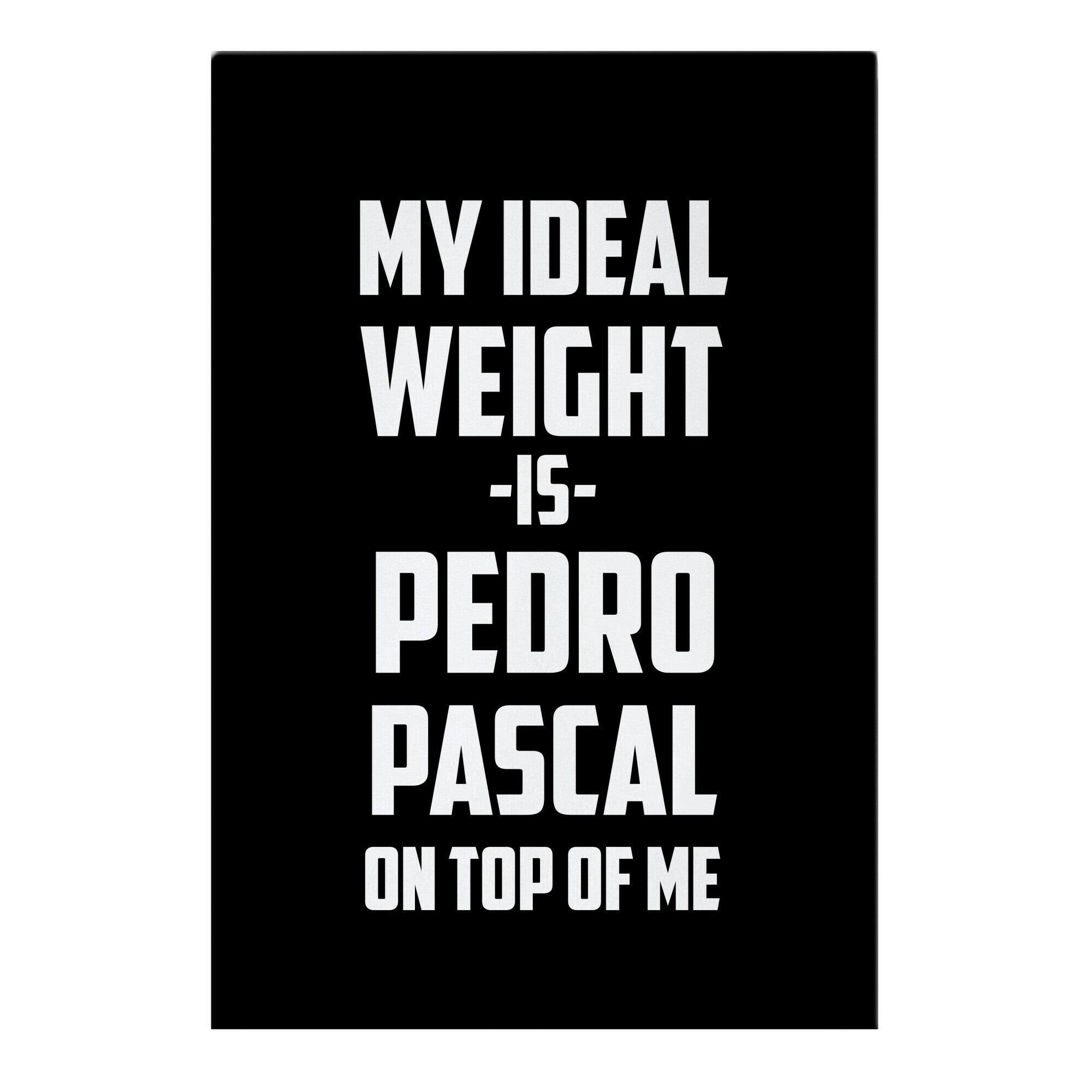 My Ideal Weight Is Pedro Pescal On Top Of Me Garden Flag